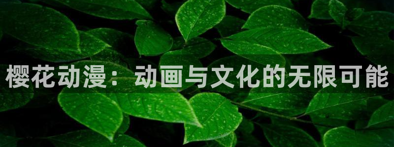腐漫画网网