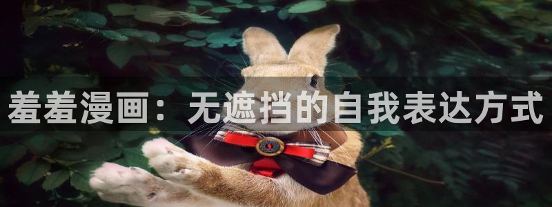 age专注动漫的门户网站