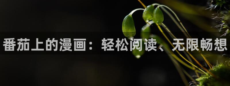 腐漫画网樱花