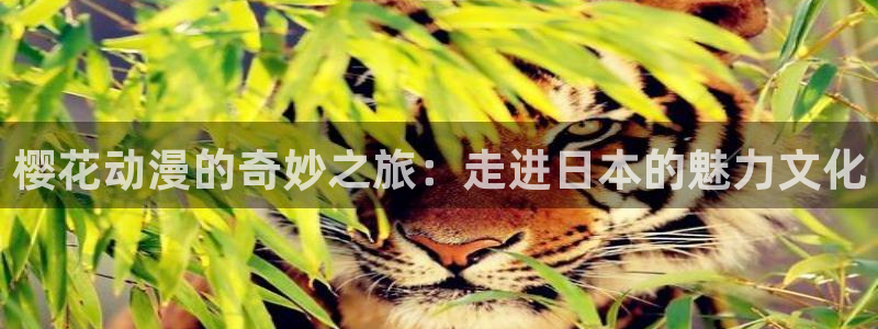 colamanage漫画官网