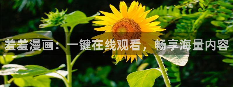 kakaopage韩漫官网