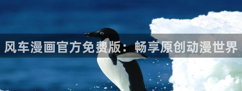 腐漫画网官网入口老版本：风车漫画官方免费版：畅享原创动漫世界